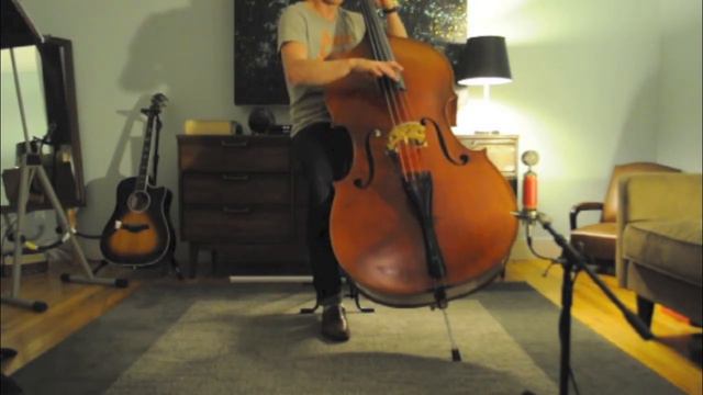 Double Bass String Demo Between Thomastik Belcanto And Pirastro Evah Pirazzi (weichs)