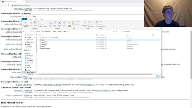 Installing SQLite on Windows 10 [Tutorial] смотреть онлайн