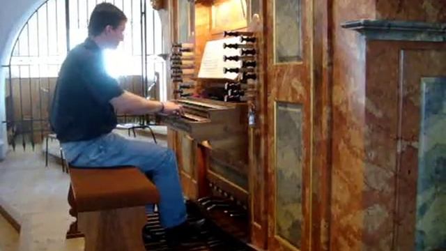 J.S. Bach Präludium und Fuge D-Dur BWV 532 1/2 смотреть онлайн