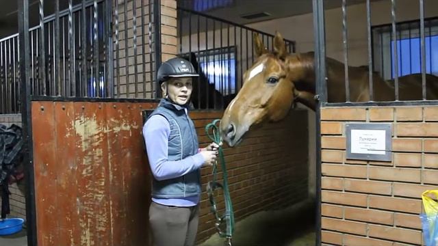 Как вести себя с лошадьюКак вести себя с лошадью смотреть онлайн