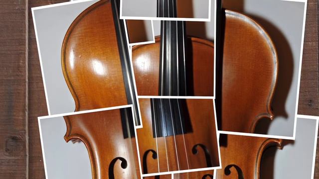 Willionel Tertrose (Viola) plays Paganini Caprices 14 & 9 (Rec. on 78s, c.1930). смотреть онлайн
