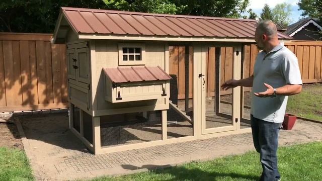 What to put inside a Chicken Run смотреть онлайн