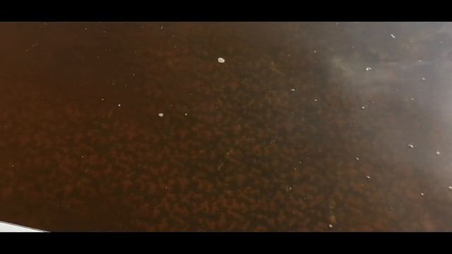 Как очистить воду в бассейне от железа смотреть онлайн