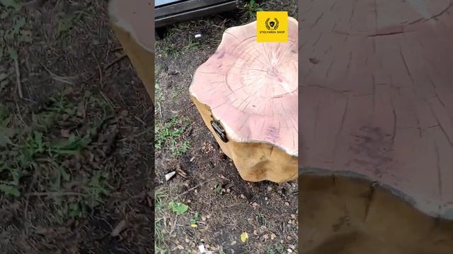 Пень интерьерный из кедра смотреть онлайн