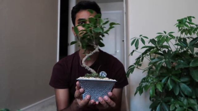 RANDOM MINI PLANT HAULS ARE THE BEST! смотреть онлайн