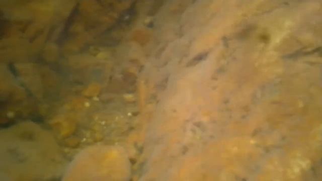 JVC Camera Test in the Fresh Water of Thames смотреть онлайн