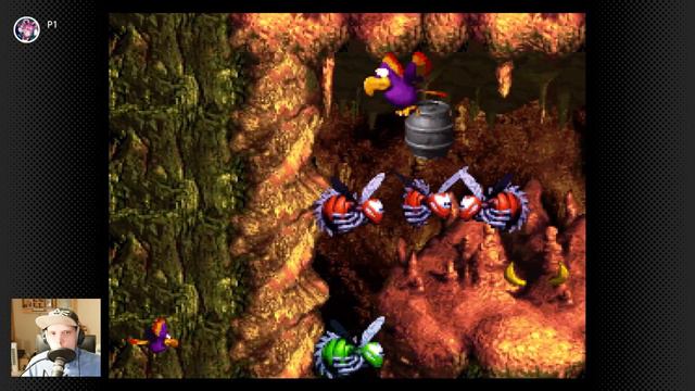 Donkey Kong Country 3 Part 24 - Squawks throw barrels that the enemies смотреть онлайн
