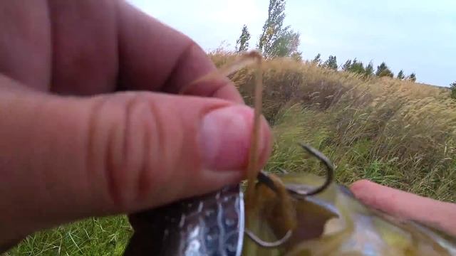 КРЕПКИЙ СПИННИНГ из БЕРЕЗЫ. И Идем на щук. Рыбалка смотреть онлайн