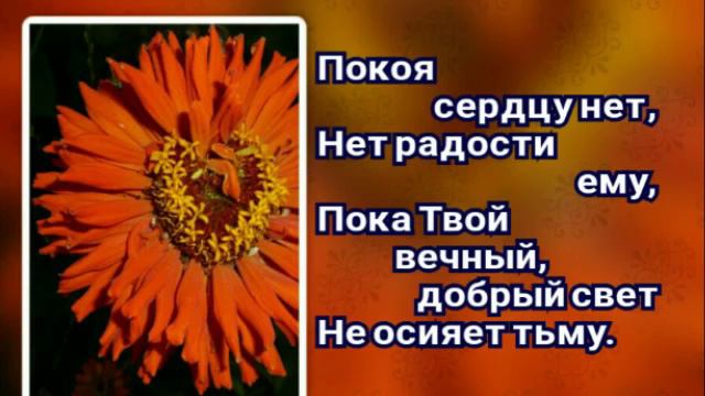 Когда Тобой пленён смотреть онлайн