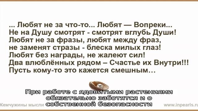 Узнайте, какие запахи не любят мыши смотреть онлайн