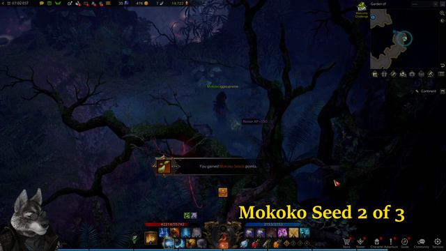 Garden Of Despair Mokoko Seed Location | 4K | Lost Ark | NA Server | { How To } смотреть онлайн