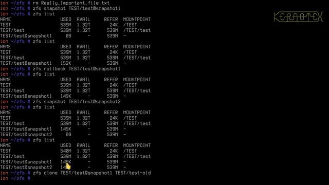Beginner's guide to ZFS. Part 19: Cloning Datasets смотреть онлайн