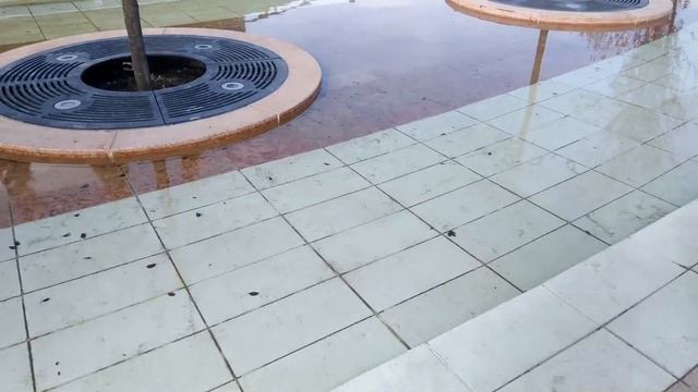 в новом парке Галицкого 27.10.2017 смотреть онлайн