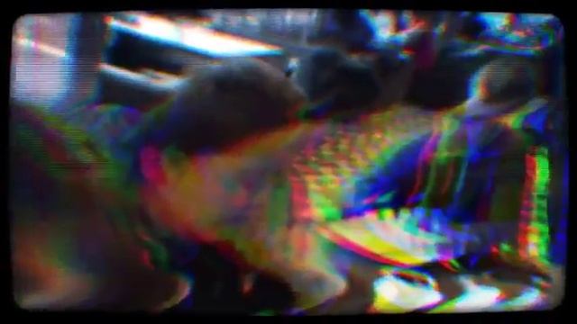 ФЛЭШ15-08 марта!!! (Created with @Magisto) смотреть онлайн