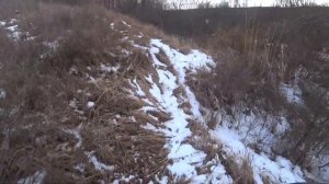 Охота на зайца с русской гончей!