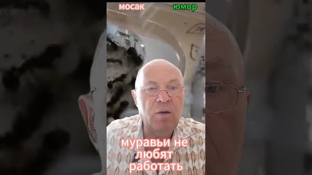 муравьи не любят работать #анекдот #юмор #funny #самый смешной анекдот #юмор2024 #анекдот дня #прик смотреть онлайн