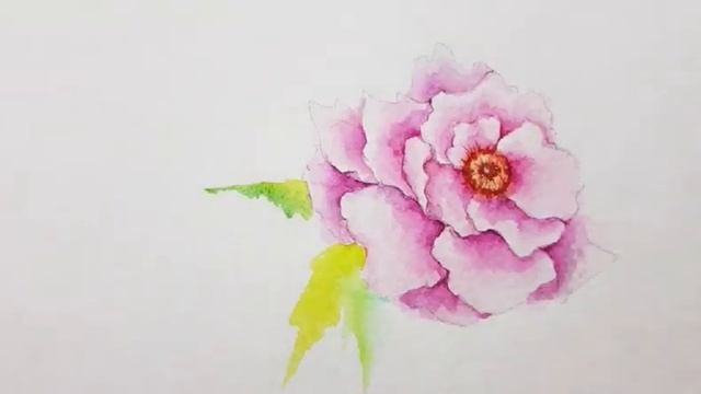 Распустившийся Пион, #2 /Мастер-класс акварель