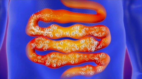 Why do we FART? Farts for Kids 💨 Fun Science Facts for Kids | Flatulence for Kids