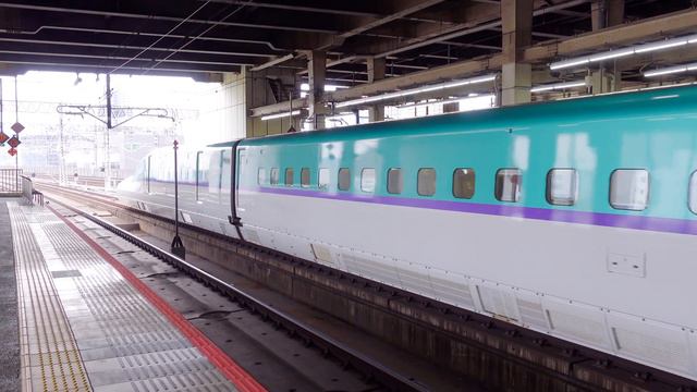 TWO TRAINS A DAY. H5 Series HOKKAIDO Shinkansen Arriving & Departing At Omiya Station | Train Japan