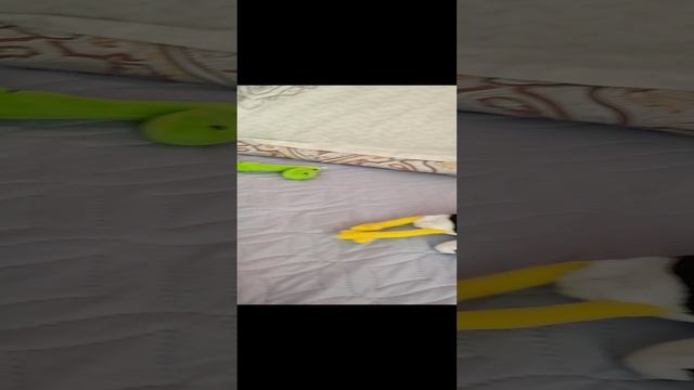 СКИБИДИ звери захватили мир 1 смотреть онлайн