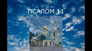 СНИМАЕМ ПОРЧУ "ХАЛАТ". ОТЧИТКА