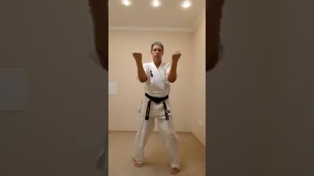 Сантин но ката подробно смотреть онлайн
