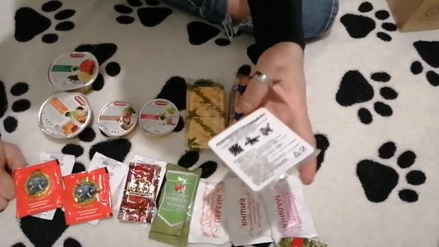 Пробуем всей семьёй 