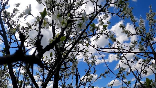 Ты заслуживаешь той любви, которую даешь другим смотреть онлайн