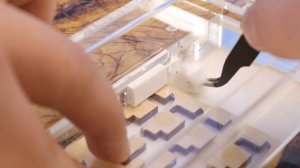 СМОГУТ ЛИ МУРАВЬИ НАЙТИ ВЫХОД ИЗ ЛАБИРИНТА? КАК СДЕЛАТЬ ДОМИК ДЛЯ МУРАВЬЁВ И НУБА ИЗ МАЙНКРАФТ?