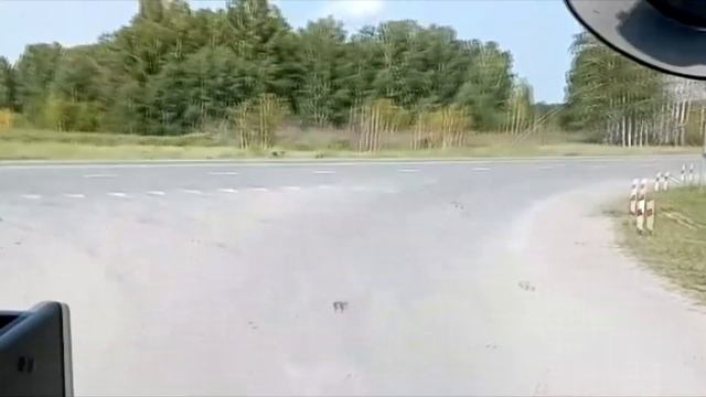 За рулем едет Юра!! В подарок ! ⓒ аЛиса Волкова смотреть онлайн