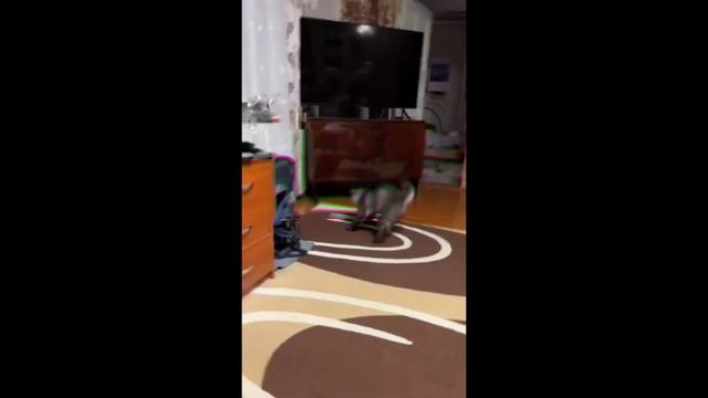 эдит про Фэликса смотреть онлайн