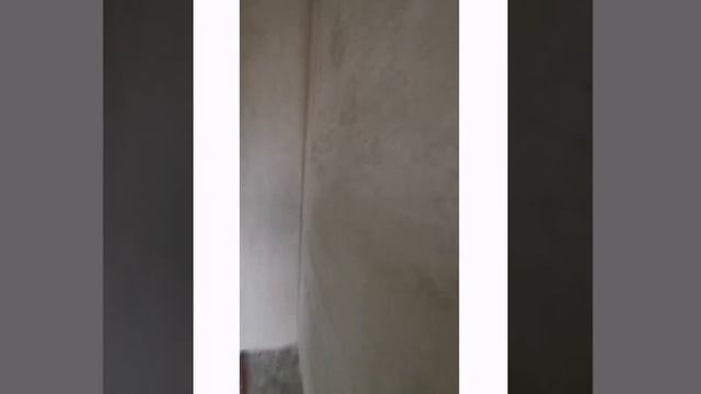 Механизированная штукатурка стен и потолков.