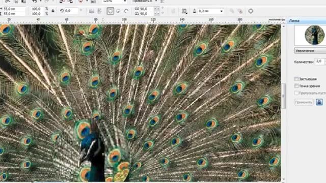 Уроки Корел. CorelDRAW для продвинутых. Эффект линзы (20) Хорошее качество видео уроки для начинающ смотреть онлайн