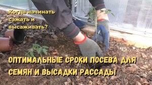Когда начинать посадку семян сроки высадки рассады в теплицу и открытый грунт