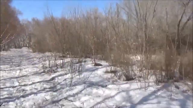 ***Северки как они есть #1***Знакомство с нашей Рощей***Омск без ретуши и лоска*** смотреть онлайн
