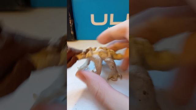 Астра ЗИЛа и Кайзер Завр оба третьей категории удалённый кайдзи смотреть онлайн