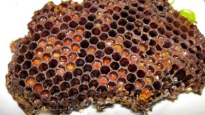 Польза Пчелиной перги,  польза для здоровья