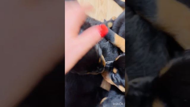 25 января 2024 г. смотреть онлайн