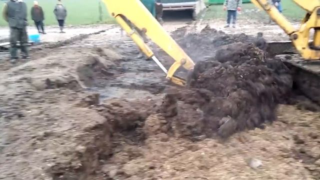 Уничтожение вредителей,собаки ловят крыс смотреть онлайн