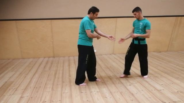 Aek Roubach day 2, same technique, different grips, armbar, g-lock, armlock смотреть онлайн