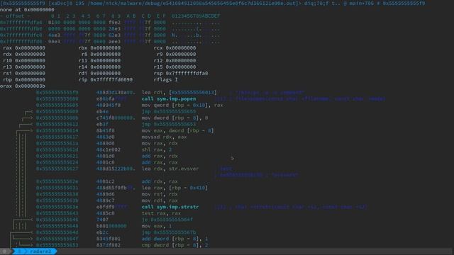 Radare2 Debugging Part 2 - Strings, Xrefs and Functions смотреть онлайн
