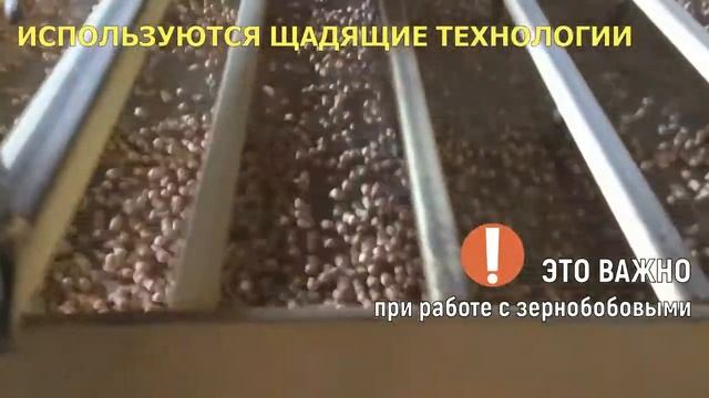 Очистка и калибровка нута / Shtef Management/Зерновая логистика/ очищающе-калибрующая машина Фадеев смотреть онлайн