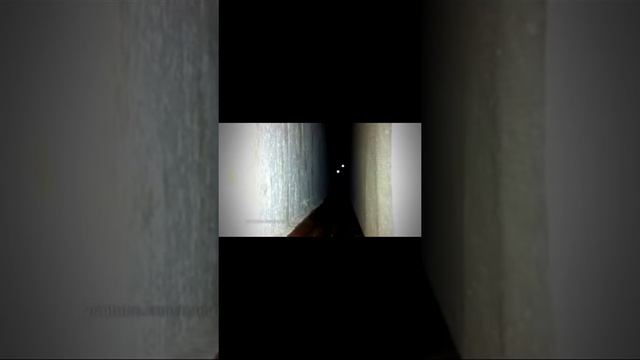Страшные скримеры смотреть онлайн
