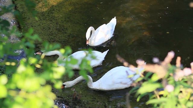Удивительный cамые красивые места на Земле! Красивое видео природы с музыкой смотреть онлайн