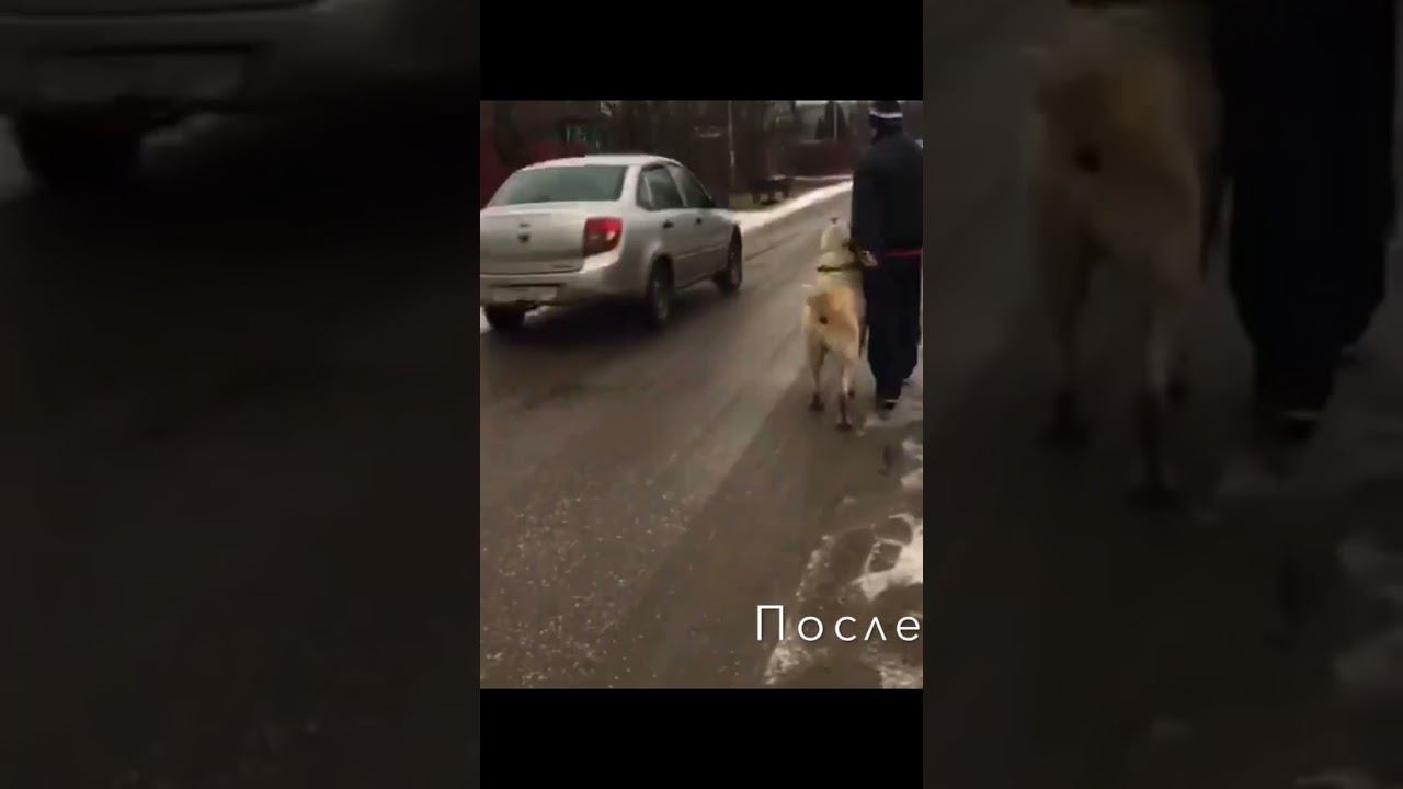 Атака на машины смотреть онлайн