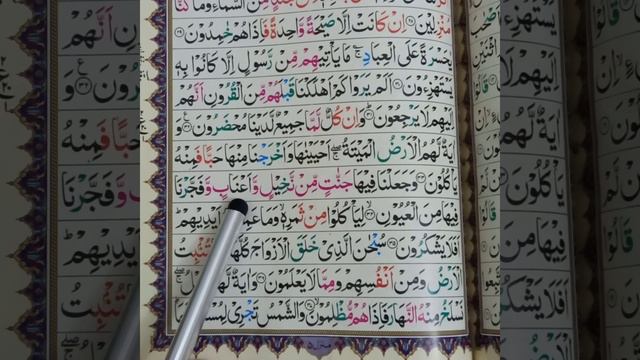 Surah Yaseen Ayat (31- 37) with Tajweed || Learn Quran at Home || Part 5 || MQasim смотреть онлайн