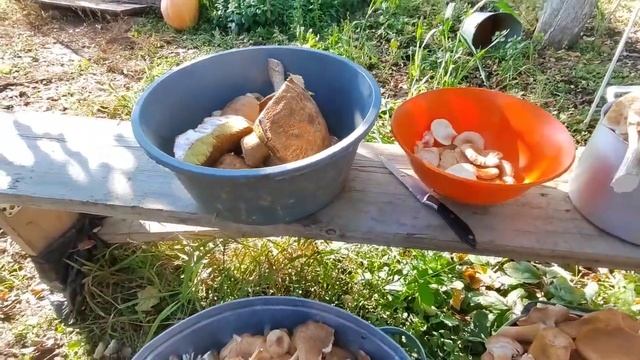 Основная работа закончена,теперь перебрать осталось.Заканчивается сезон тихой охоты. смотреть онлайн