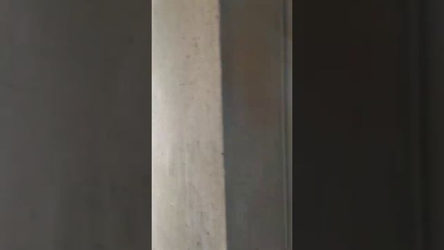 комплекс Парк Челюскинцев, дом 3, евро2, 20этаж, восток смотреть онлайн