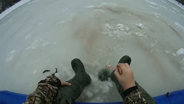 Ротаны в пруду смотреть онлайн