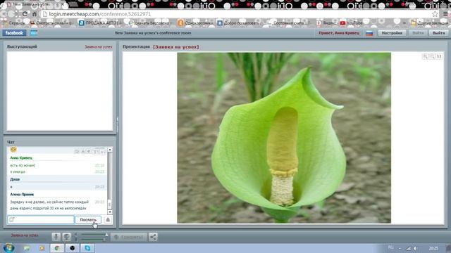 программа управления весом. Светлана Храпик смотреть онлайн
